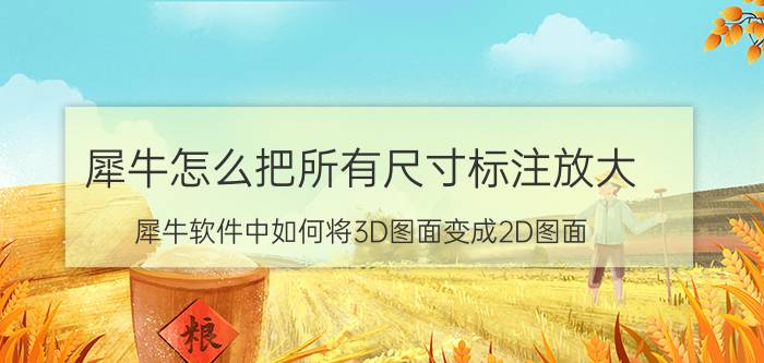 犀牛怎么把所有尺寸标注放大 犀牛软件中如何将3D图面变成2D图面？